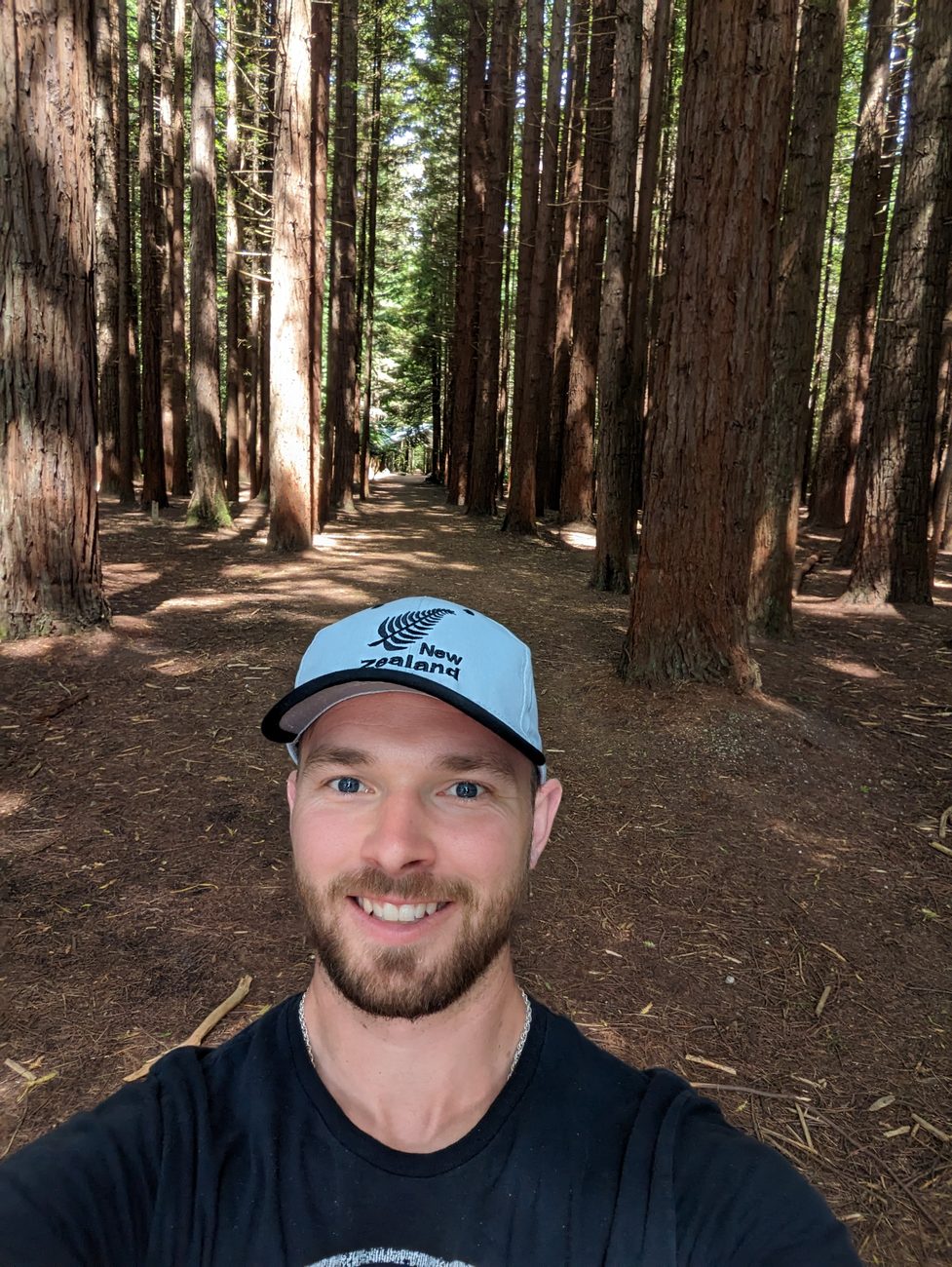 Ben among towering redwoods